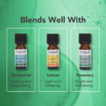 Óleo Essencial de Tea Tree colhido Éticamente 9ml Tisserand (Melaleuca) - Imagem 4