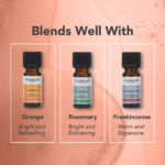 Óleo Essencial de Gengibre Orgânico 9ml Tisserand (Zingiber officinale organic) - Imagem 3