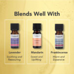 Óleo Essencial de Camomila Romana 9ml Tisserand  (Anthemis nobilis) - Imagem 5