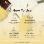 Óleo Essencial de Camomila Romana 9ml Tisserand  (Anthemis nobilis) - Imagem 6