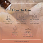 Óleo Essencial de Gengibre Orgânico 9ml Tisserand (Zingiber officinale organic) - Imagem 5