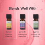 Óleo Essencial de Gerânio 9ml Tisserand (Pelargonium graveolens) - Imagem 3