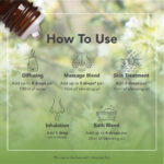 Óleo Essencial de Manjerona Espanhola 9ml Tisserand ((Thymus mastichina)) - Imagem 6