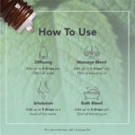 Óleo Essencial de Hortelã Pimenta Orgânico 9ml Tisserand (Peppermint) - Imagem 5