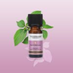 Óleo Essencial de Patchouli Orgânico 9ml Tisserand (Pogostemon cablin organic) - Imagem 2