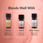 Óleo Essencial de Sândalo 2ml Tisserand (Sandalwood) - Imagem 3