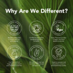 Óleo Essencial de Gengibre Orgânico 9ml Tisserand (Zingiber officinale organic) - Imagem 15