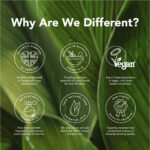 Roll On Find Focus 10ml Tisserand (Sinergia Pronta) - Imagem 6