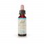 Rock-Water-10ml.jpg